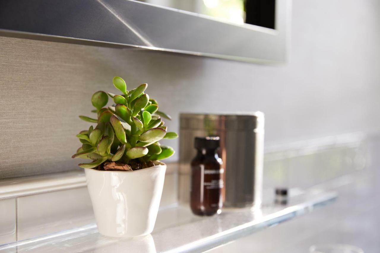 The Whitney Hotel Boston Luaran gambar A small plant in a kitchen